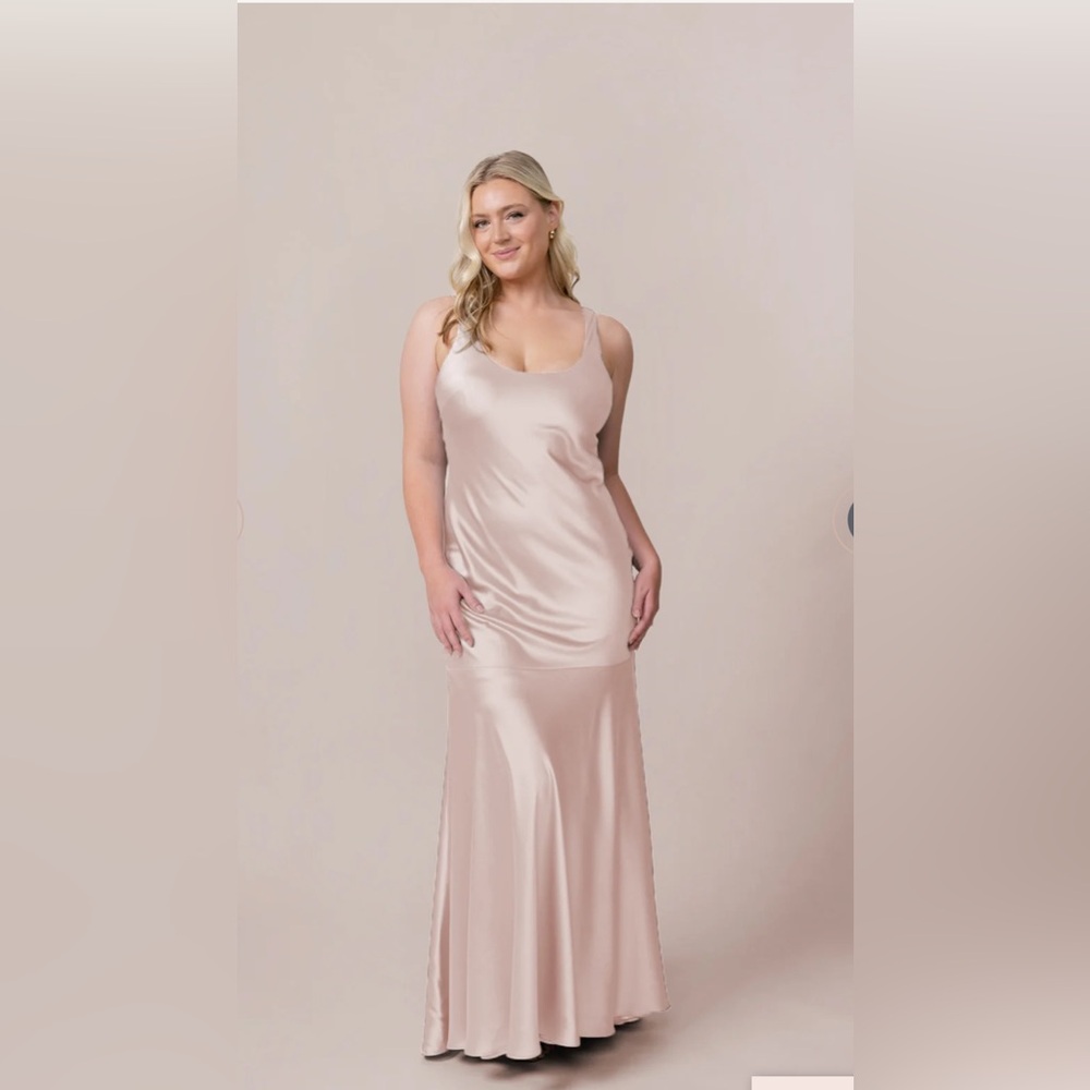 Revelry Lana Satin and Tulle Dress Blush